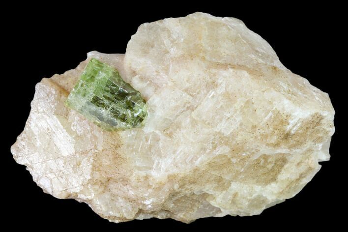 Yellow-Green Fluorapatite Crystal in Calcite - Ontario, Canada #137095